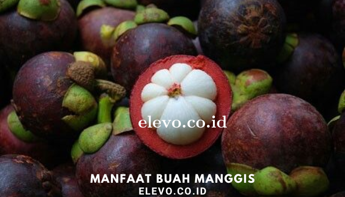 manfaat_buah_manggis.png