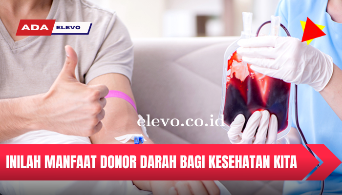 manfaat_donor_darah_untuk_kesehatan.png